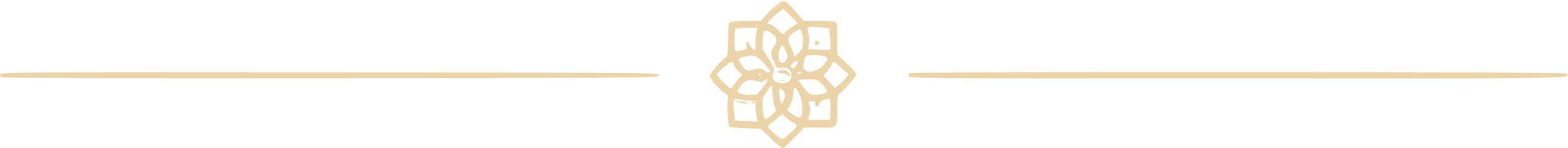 Decorative illuminated flower divider graphic